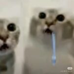 二相铝薄片的头像-拟人圈