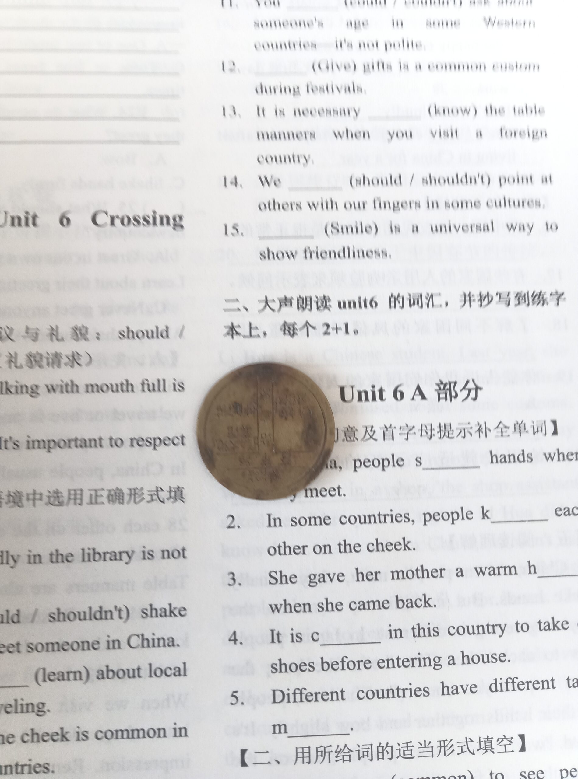 拟人圈
