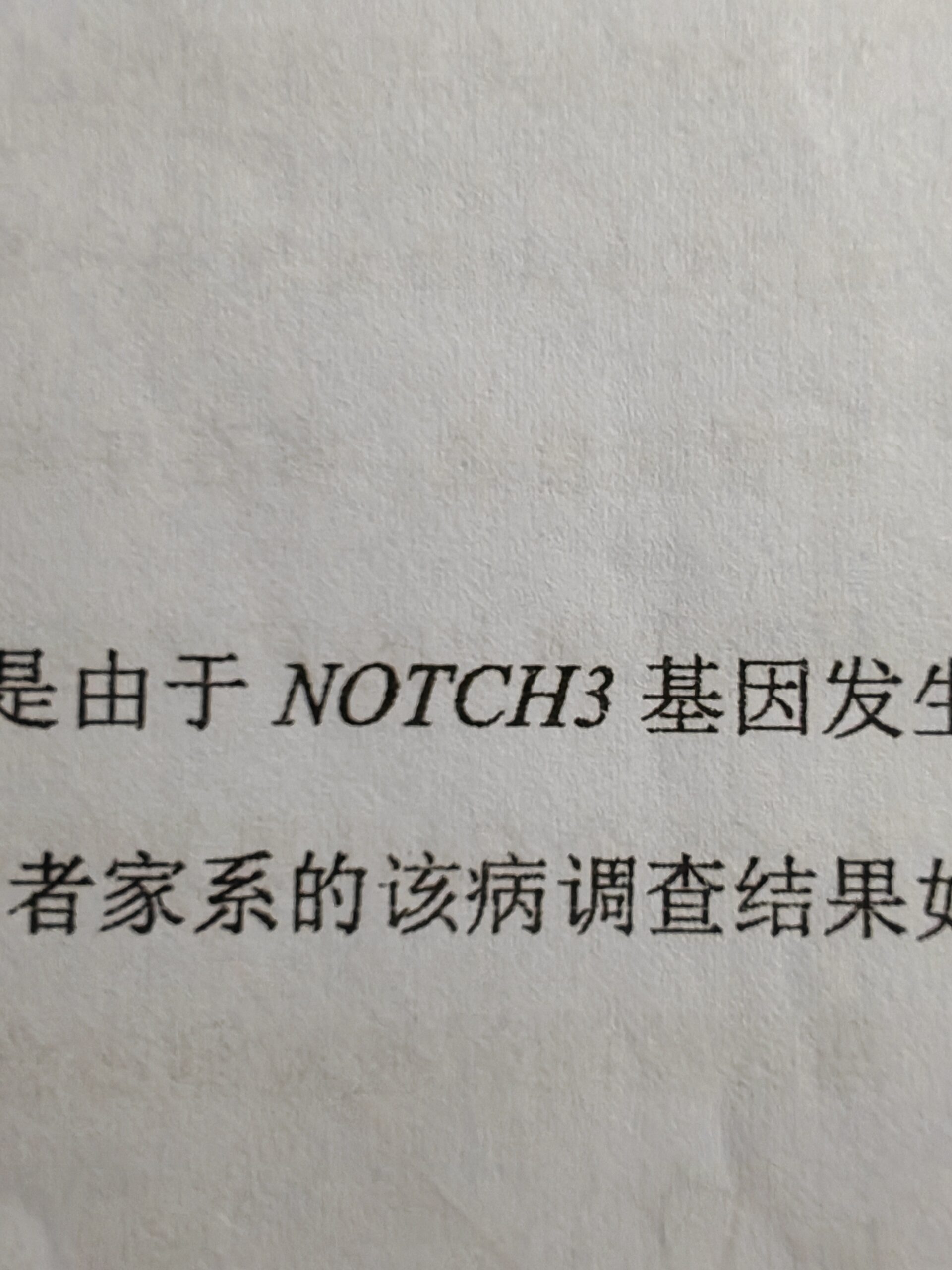 纯抽象娱乐-拟人圈