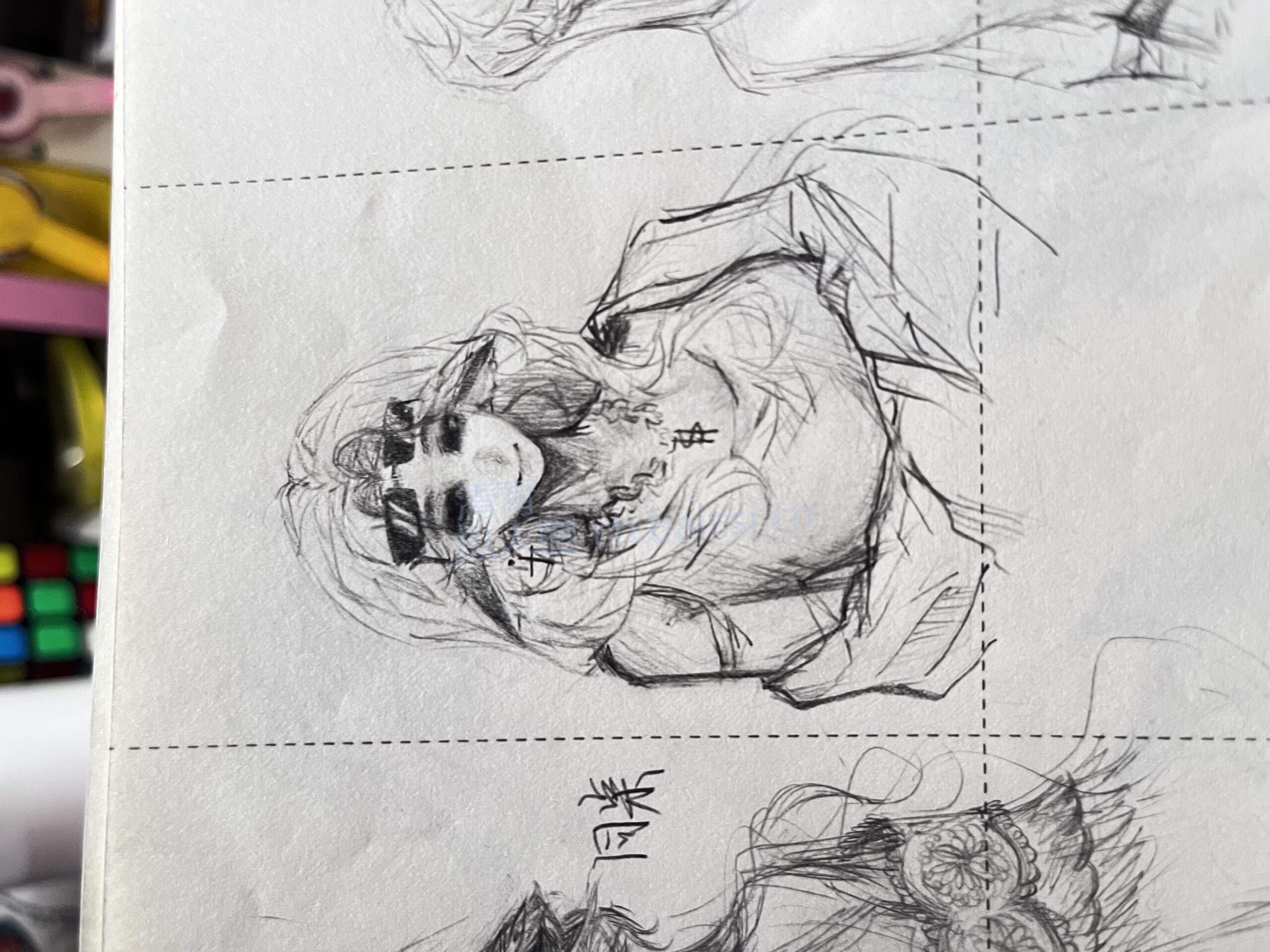 拟人圈