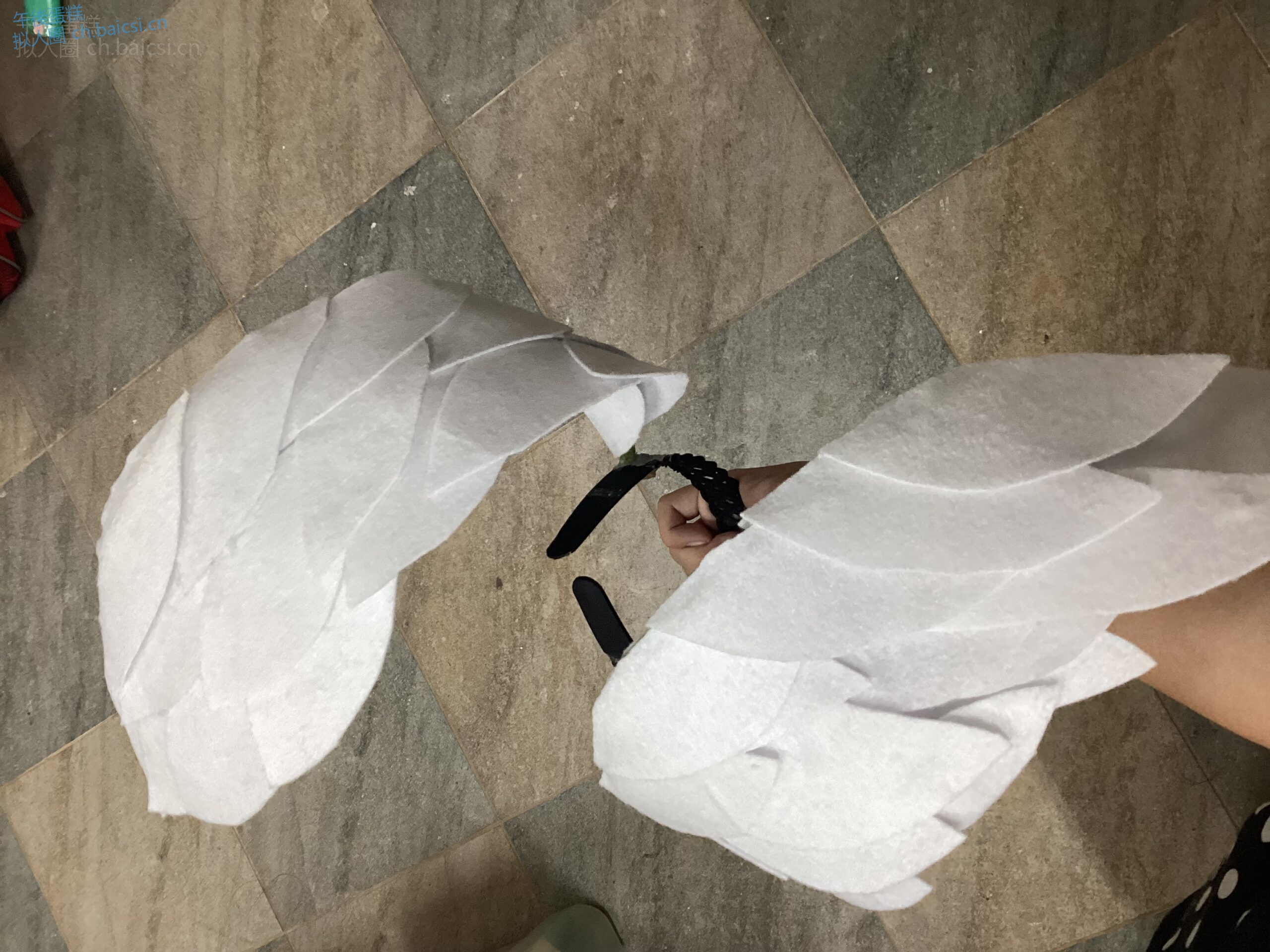拟人圈