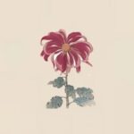 液泡的头像-拟人圈