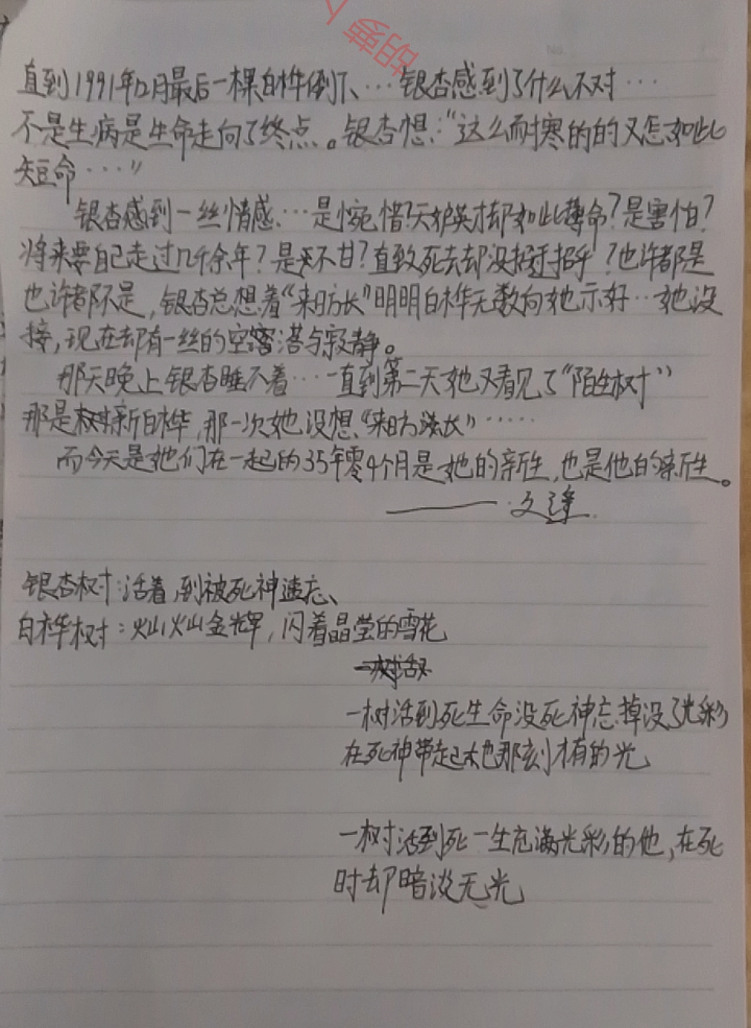 拟人圈