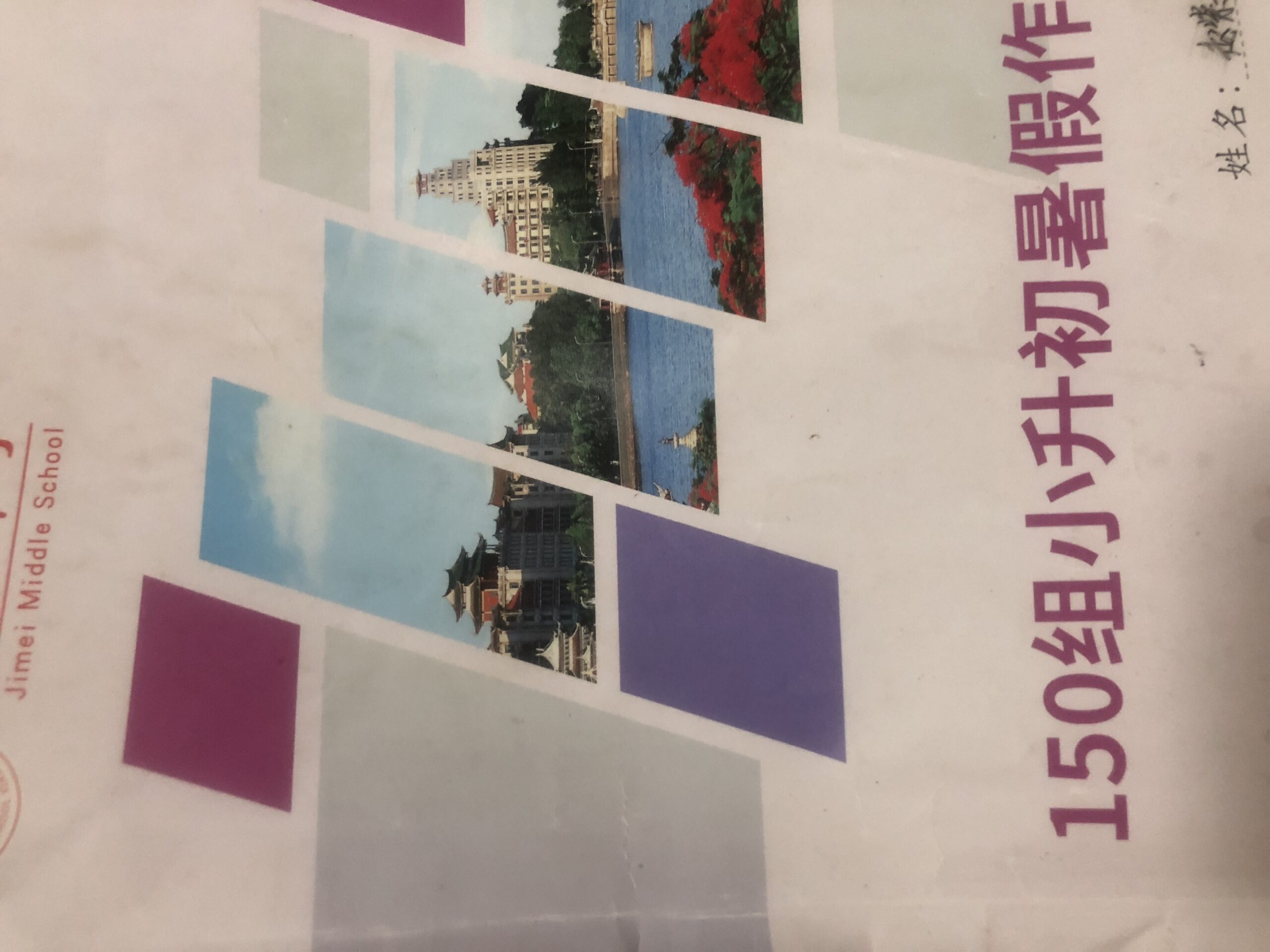 拟人圈