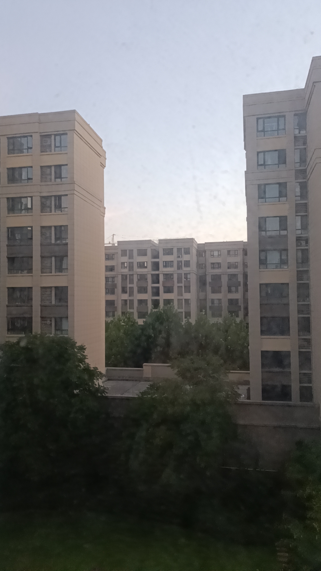 拟人圈