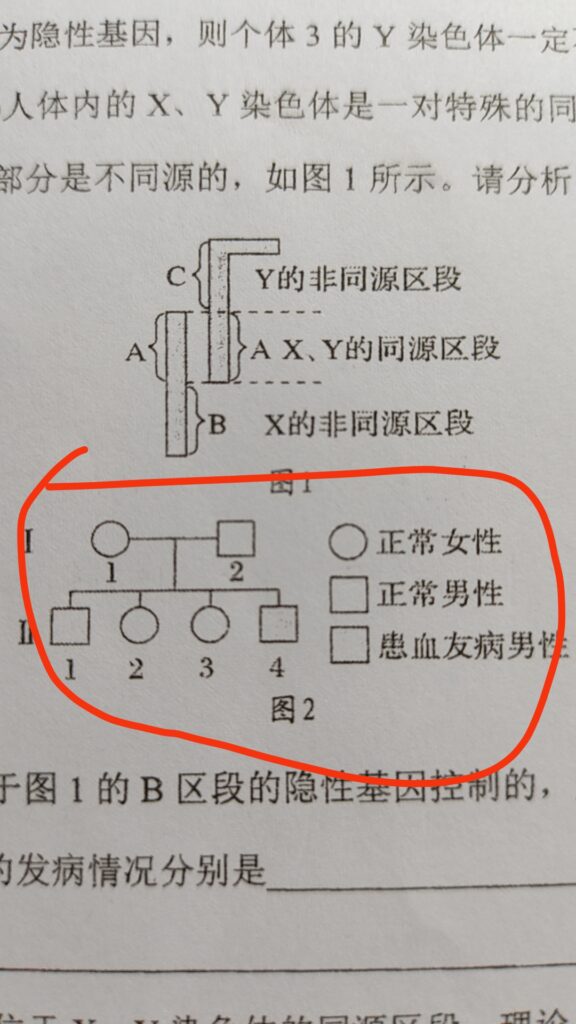 评论图片-拟人圈
