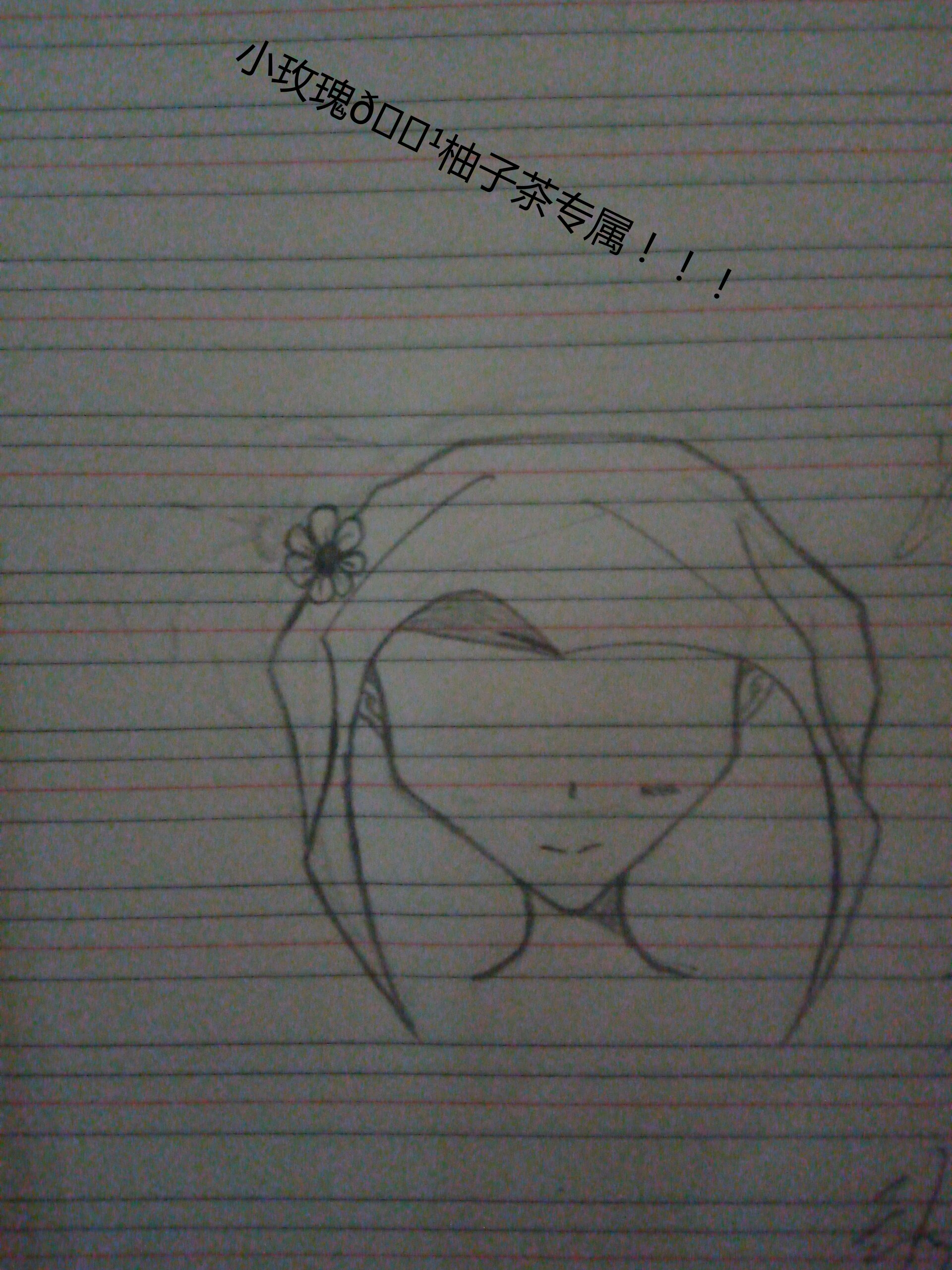 拟人圈