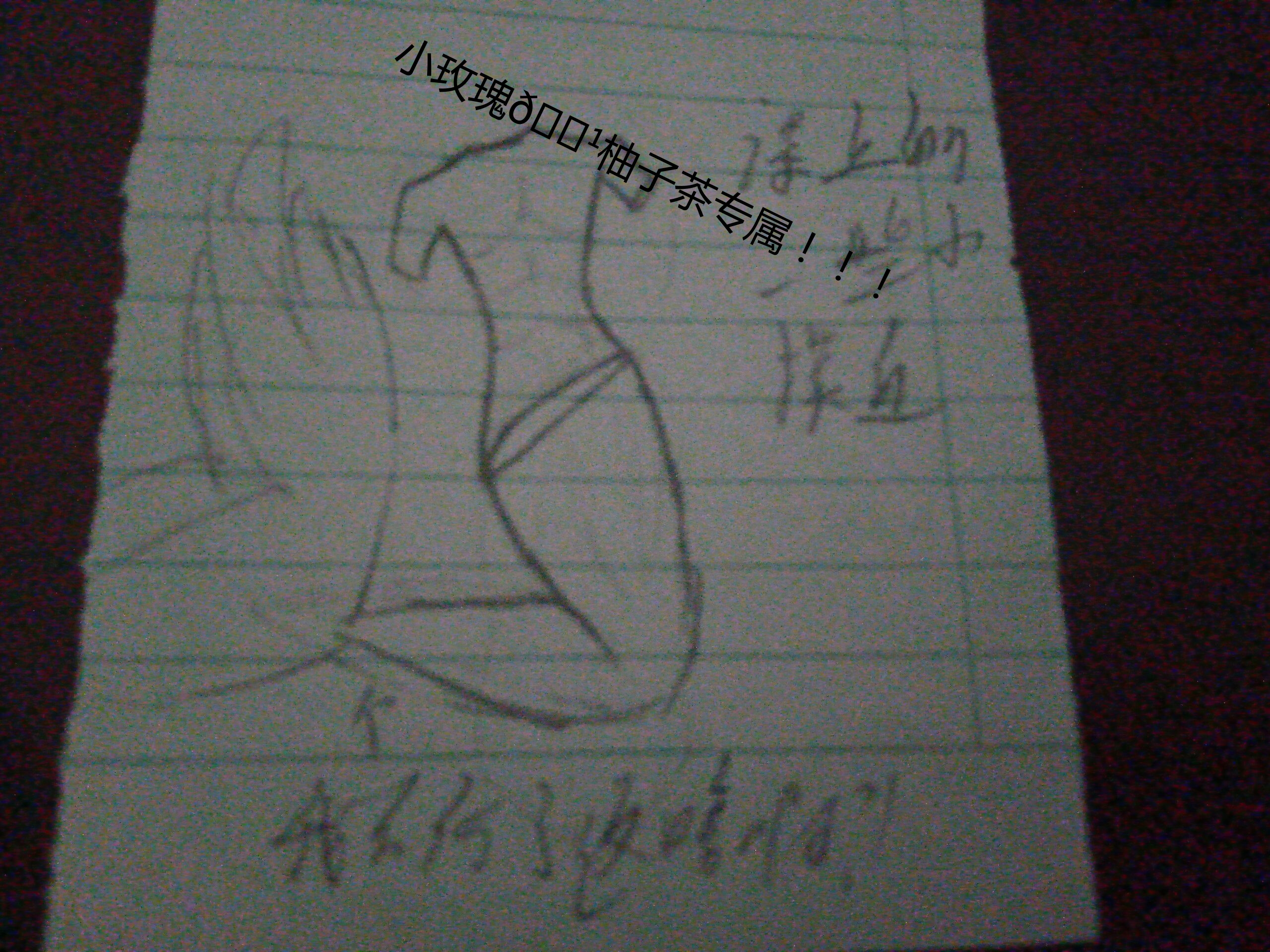 拟人圈