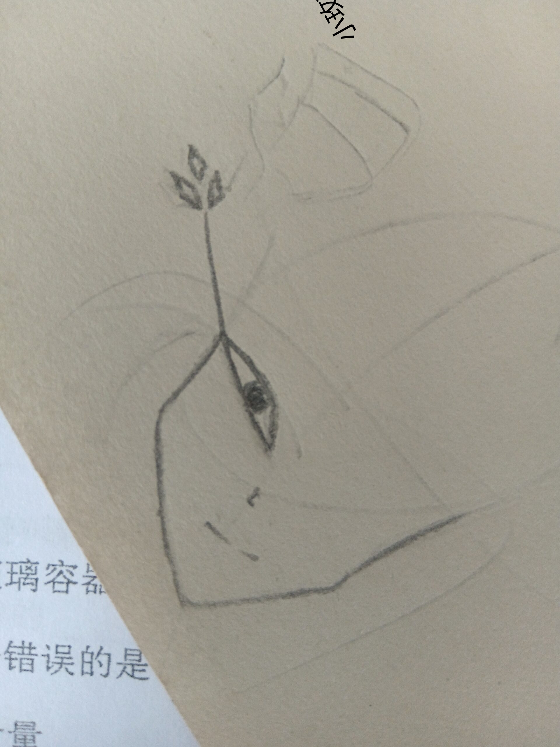 拟人圈