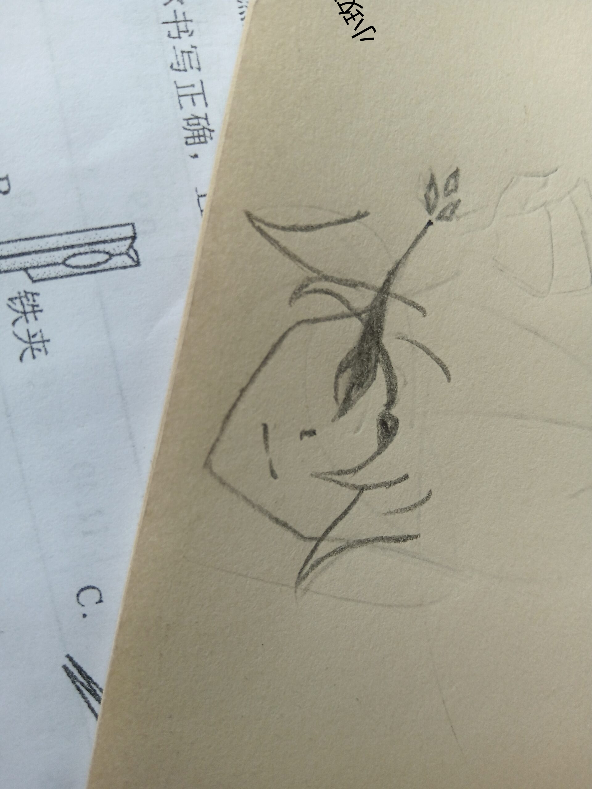 拟人圈