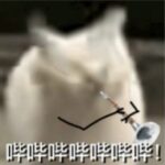 哔哔哔哔哔哔哔！的头像-拟人圈