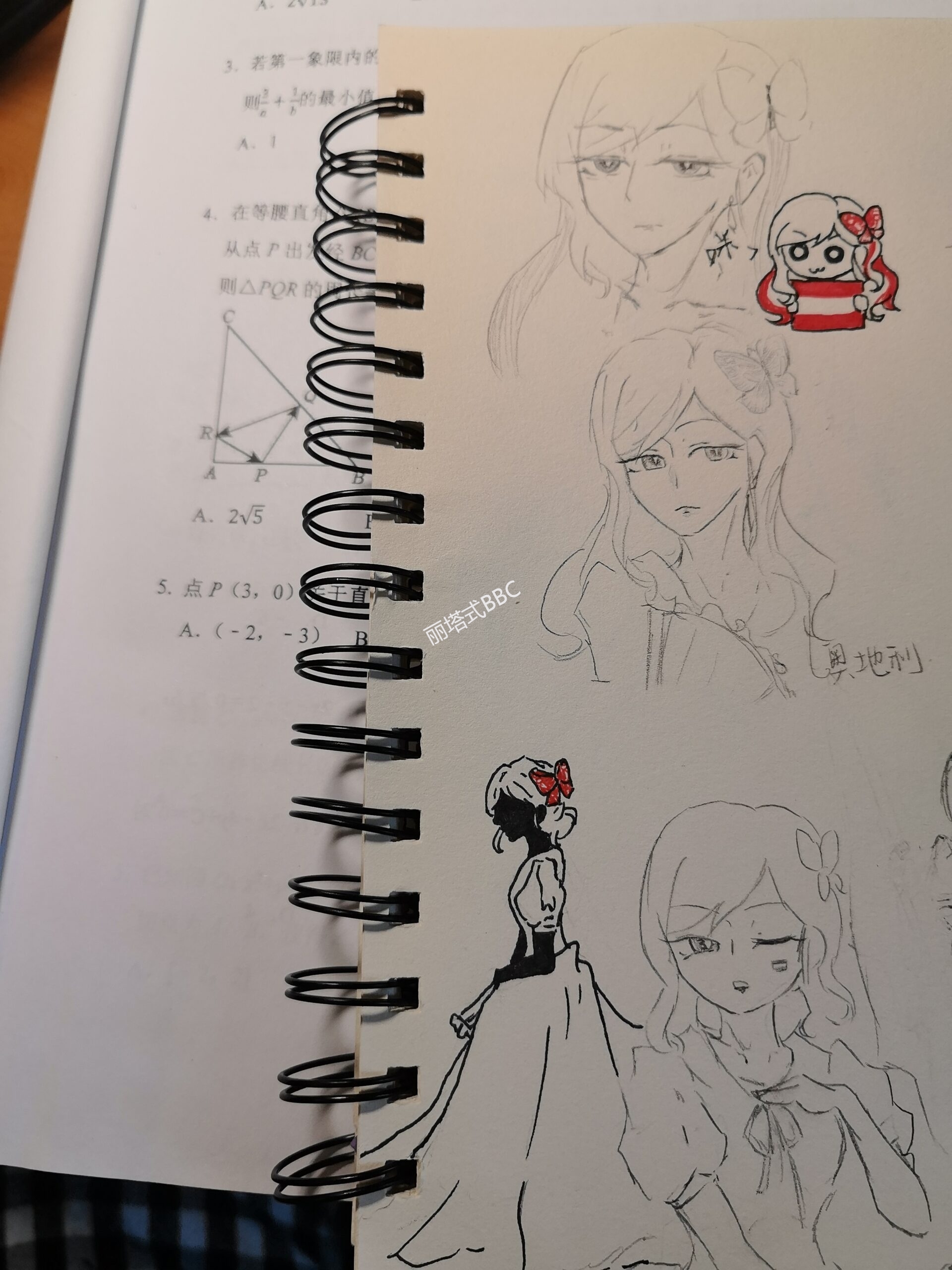 拟人圈