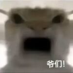 无华的头像-拟人圈