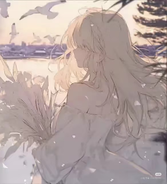 用户封面