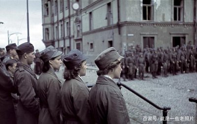 拟人圈