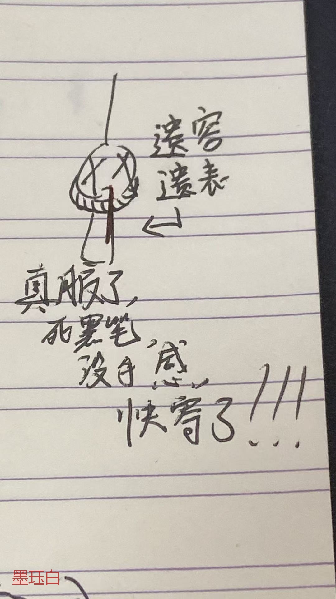 拟人圈
