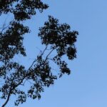 烟渚_的头像-拟人圈
