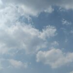 鱼腥草ええっ的头像-拟人圈