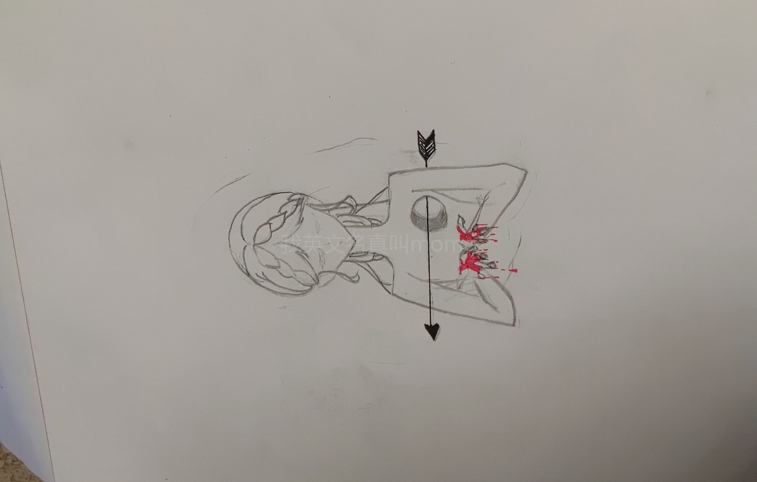 拟人圈