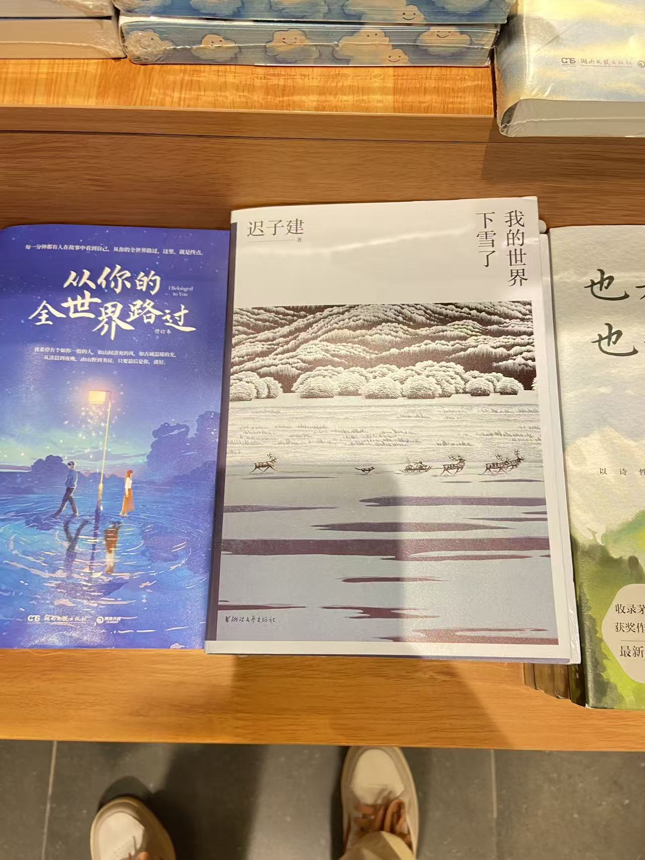 拟人圈